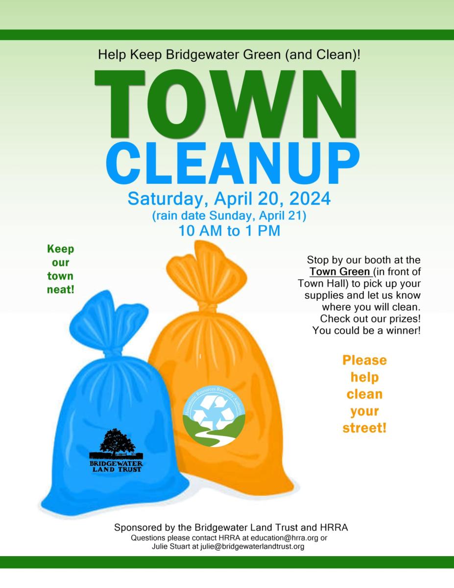 cleanup the town